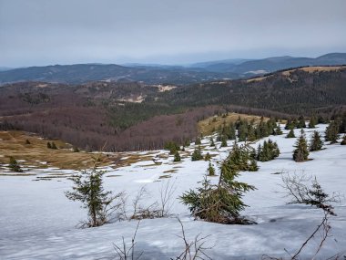 Dağların ve ağaçların güzel kış manzarası