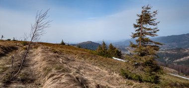 Doğanın güzel manzarası