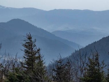 Akşamları Karpatlar 'ın dağları ve ormanları