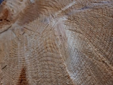 Ahşap arka plan dokusu yakın plan.