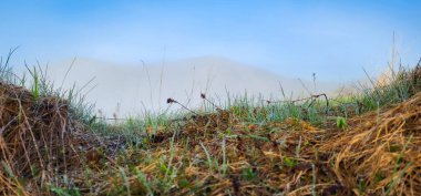 Doğanın güzel manzarası