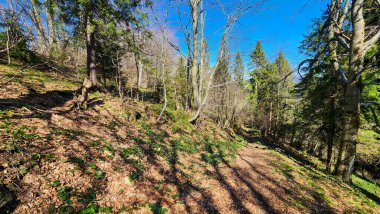 Yeşil ağaçlar, Bahar yatay