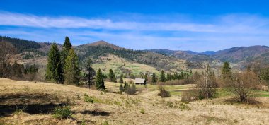 Karpat Dağları 'nın köyü manzarası