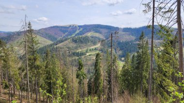 Doğanın güzel manzarası