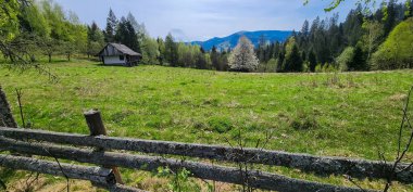 Karpatya ormanında ahşap kulübe, Ukrayna