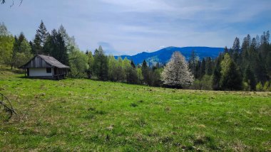 Arkasında bir dağ olan güzel bir manzara.