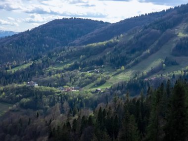 Ukrayna Karpatları 'ndaki dağların manzarası. yaz zamanı