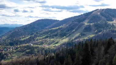 Yazın Karpatlar 'ın hava manzarası.