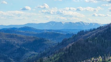 Dağları ve ağaçları olan güzel bir manzara.