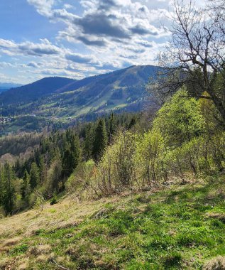 Ukrayna 'daki Karpatlar' ın güzel bahar manzarası
