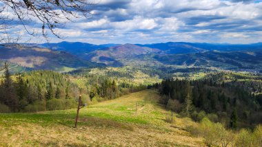 Yaz aylarında Ukraynalı Karpatlar