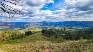 Ukrayna Karpatya 'sında güzel yeşil çayırları olan yaz dağları