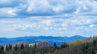 Yazın Karpatlar 'ın doğal parkının sıradağları