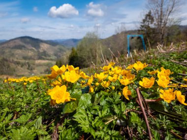 Dağların güzel manzarası
