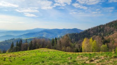 Güneşli bir günde dağlarla güzel bir yaz manzarası.