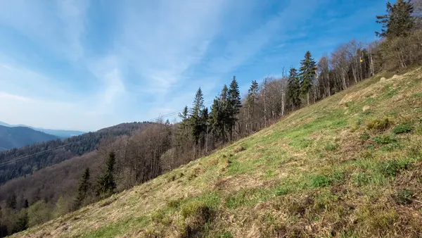 Vackert Landskap Bergen Karpaterna — Stockfoto