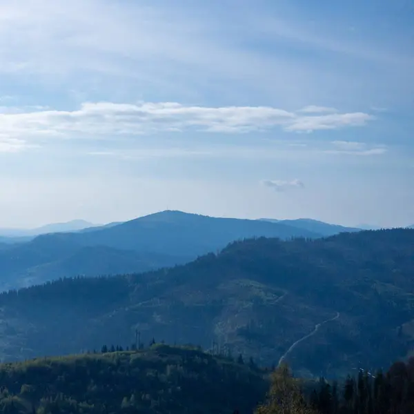 Yazın Karpatlar Için Güzel Bir Manzara — Stok fotoğraf