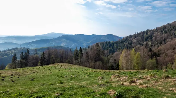 Karpatské Hory Jaře Krásná Horská Scenérie Oblačným Dnem — Stock fotografie