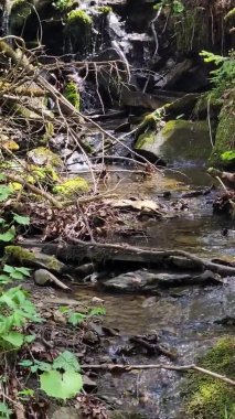 Ormanda şelale, Slovakya