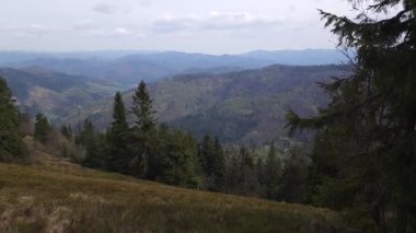 Dağlardaki güzel yaz manzarası