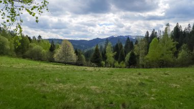 Mavi bulutlar üzerinde yeşil çayır, dağlar, orman ve ağaçlar. bahar manzarası.