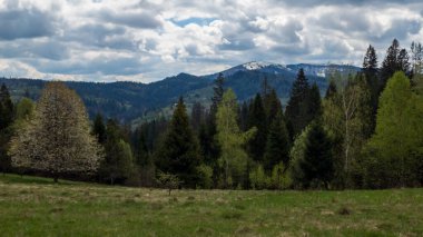 Karpat Dağları 'nın Manzarası