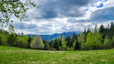 Dağ sırası olan güzel bir manzara.