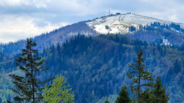 Arkasında orman olan güzel bir dağ manzarası.