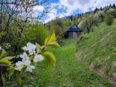 Köydeki güzel bahar evi.