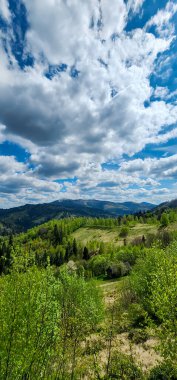Dağlardaki yeşil tepelerin ve ağaçların manzarası