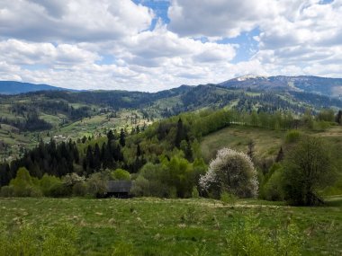 Karpatlar 'da bahar manzarası