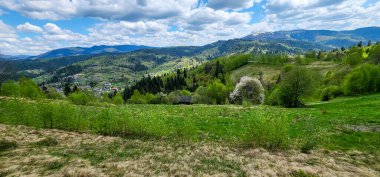 Karpat dağlarının güzel manzarası, Ukrayna