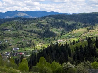 Carpatian Dağları Yaz günü