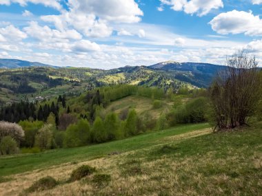 Dağları ve yeşil otları olan güzel bir manzara.