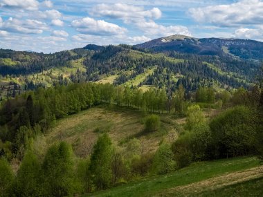 Yeşil ormanı ve dağları olan güzel yaz manzarası