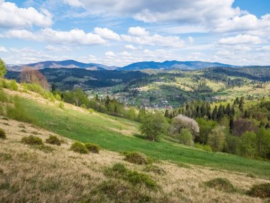İlkbaharda Karpat Dağları 'nın güzel manzarası. güneşli bir gün.