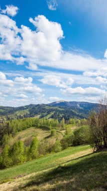 Dağlardaki güzel bahar manzarası. Karpat Dağları, Transcarpathian, Ukrayna