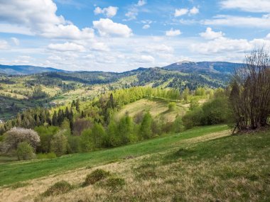 Baharda yeşil orman ve dağlar.