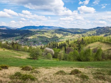 Yazın Ukraynalı Karpatların yaz manzarası.