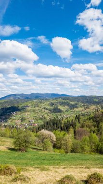 Doğanın güzel manzarası