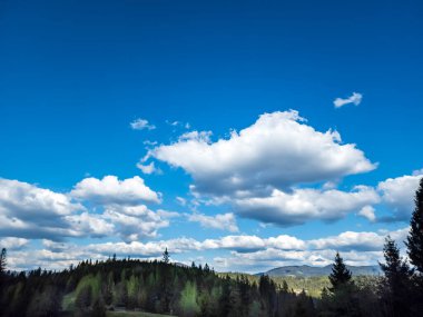 Yeşil çimenli, ağaçlı mavi gökyüzü, güzel bir manzara. doğa arkaplanı