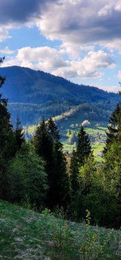 Karpatlar 'ın vadisindeki güzel dağların dikey görüntüsü, Ukrayna.