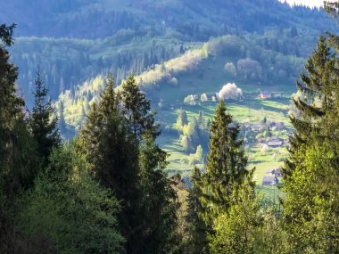 Doğanın güzel manzarası