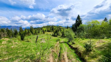 Karpat Dağları 'ndaki güzel yaz manzarası, Ukrayna