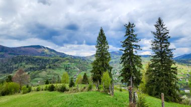 Ukrayna 'daki Karpat Dağları' nın güzel manzarası