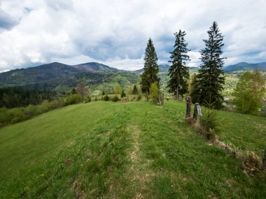 Yazın Ukrayna Karpatları 'nın manzarası