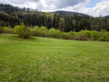 Dağlarda güzel yeşil tarlalar ve ağaçlar.