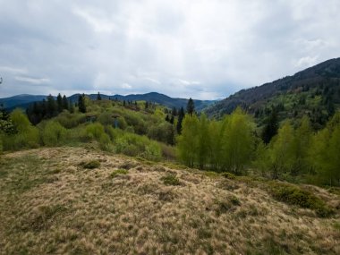 Güzel yeşil bahar manzarası