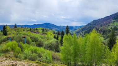 Yeşil çimenli ve mavi gökyüzü olan dağ manzarası