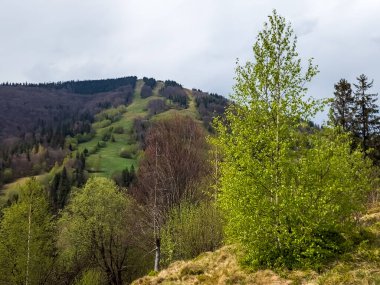 Dağların güzel manzarası